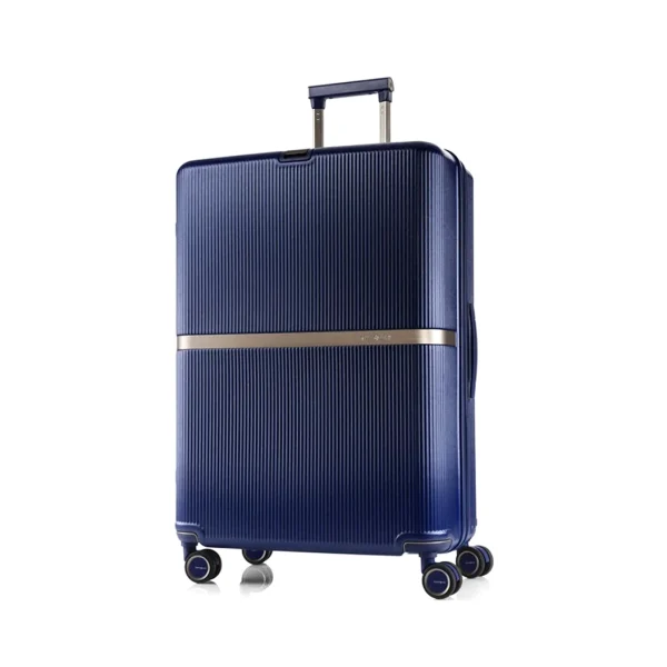Samsonite minter