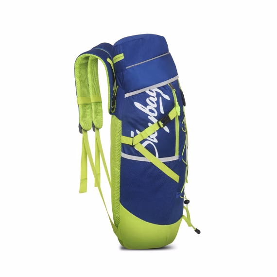 skybags trekking bag