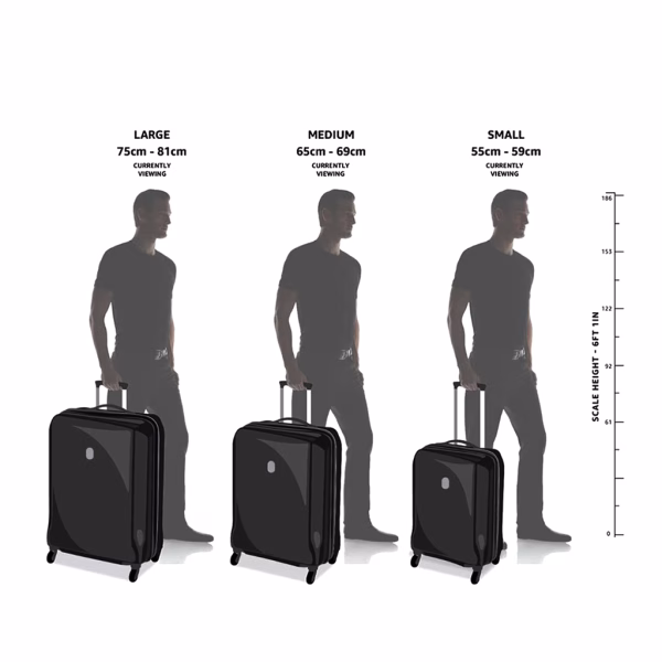 Safari Aeroglide Hard-Sided Trolley Bag
