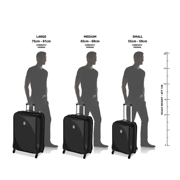 SKYBAGS BUDDY School Backpack