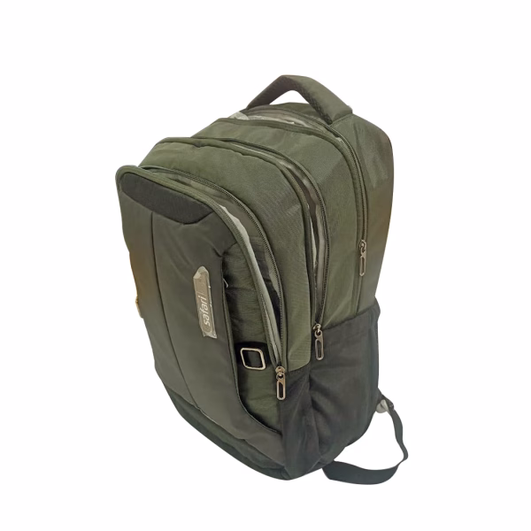 Buy Safari Spade Formal Laptop Backpack