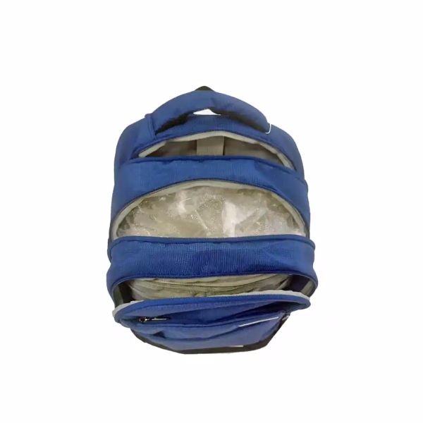 Buy Safari Spade Formal Laptop Backpack