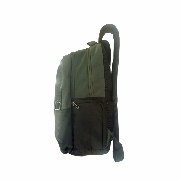 Buy Safari Spade Formal Laptop Backpack