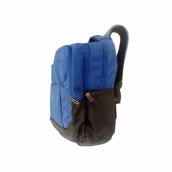 Buy Safari Spade Formal Laptop Backpack