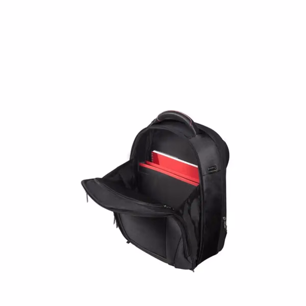 Samsonite PRO-DLX 5 Backpacks