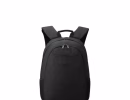 Delsey ESPLANADE Backpacks