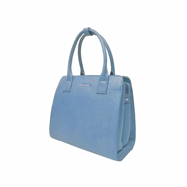 Carybu LHB - 1001461 Hand Bag in Sky Blue