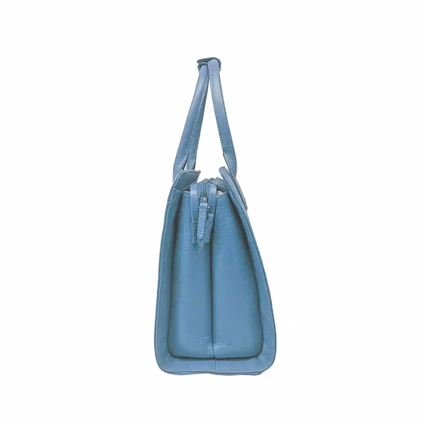 Carybu LHB - 1001461 Hand Bag in Sky Blue