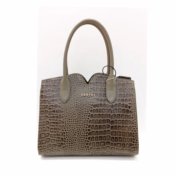 Carybu LHB - 1001710 Prem Hand Bag in Chikoo
