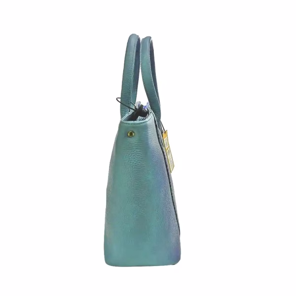 Carybu LHB - 1001644 Hand Bag in Sky Blue