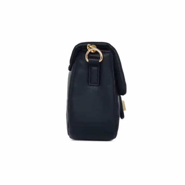 Lavie LX CHAN24 FP SLING- LADIES HANDBAG Sling Bag in Black