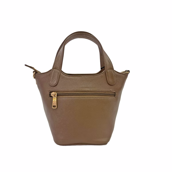 Carybu LHB - 1001662 Hand Bag in Chikoo
