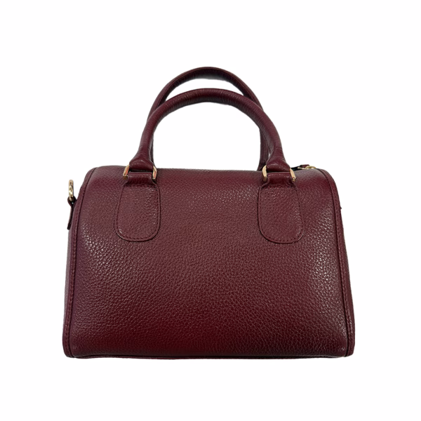 Carybu LHB - 1001579 Hand Bag in Brown