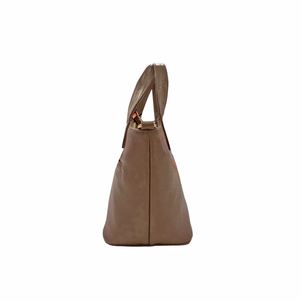 Carybu LHB - 1001662 Hand Bag in Chikoo