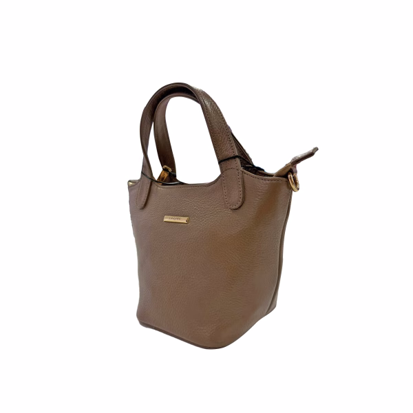 Carybu LHB - 1001662 Hand Bag in Chikoo