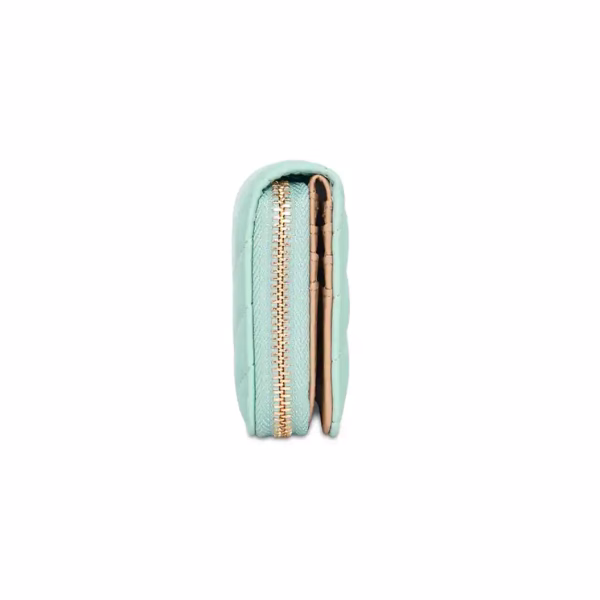 Lavie LX DIAGONAL Wallet in Mint