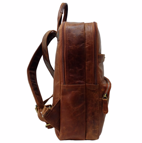 Carybu 1001522 in Brown
